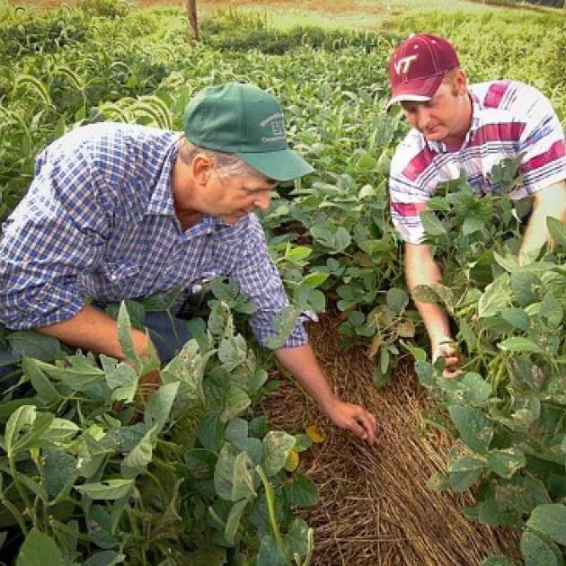 Two white male farmers in a field of crops