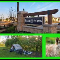 Sugar Farms sign and building