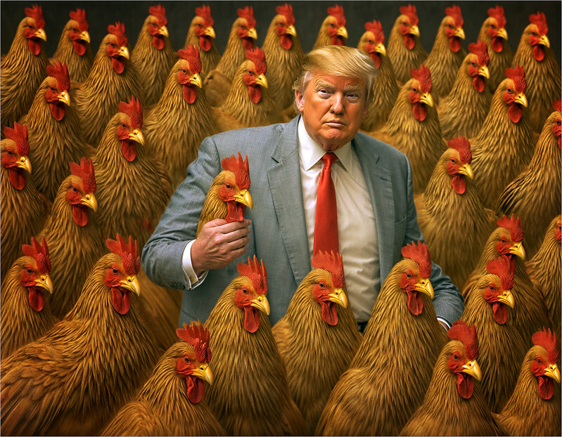 Tump Path Trump’s path